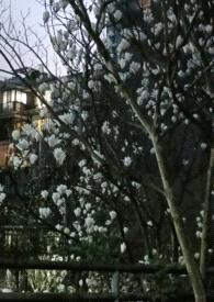 各取所需(1v1/娱乐圈/破镜重圆)